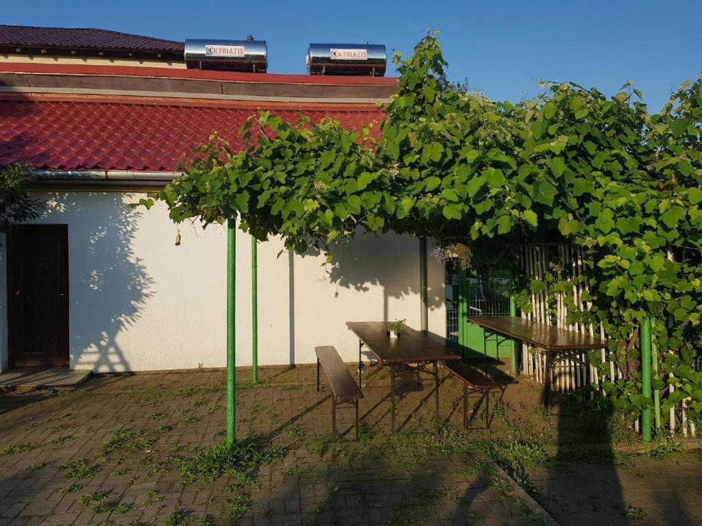 Vila Orizont Venus Bagian luar foto