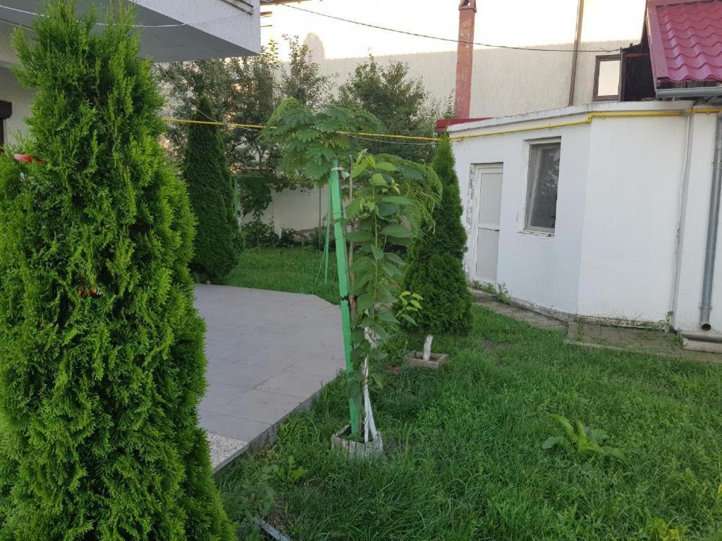 Vila Orizont Venus Bagian luar foto
